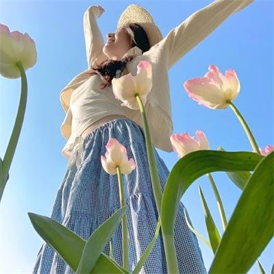 河狸变身计划